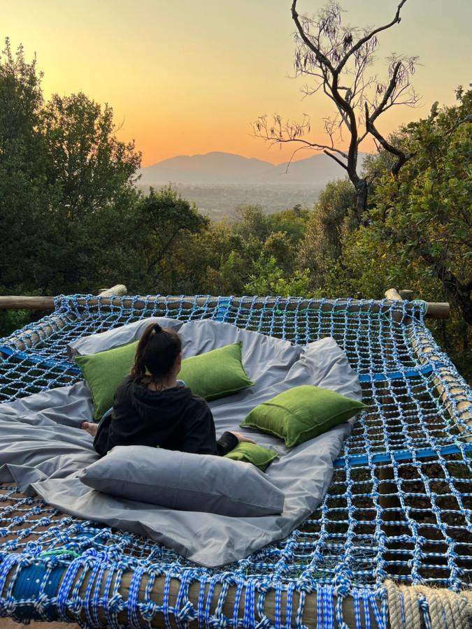 Jumanji Nature Hartbeespoort